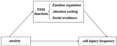 Self-injury functions mediate the association between anxiety and self-injury frequency among depressed Chinese adolescents: sex differences